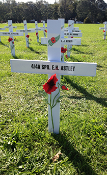 Astley cross, Field of Remembrance, 2015