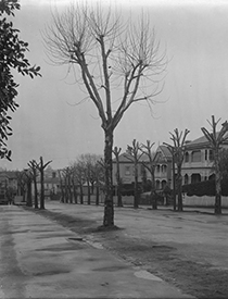 Alfred St, Auckland in 1918 